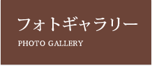 フォトギャラリー