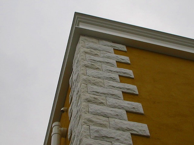IMG_2194.jpg